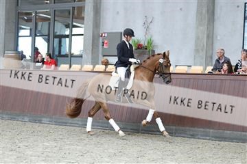 181852_mtp_04_R62_2964.JPG