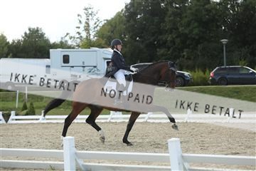148862_sg_02_IMG_4126.JPG