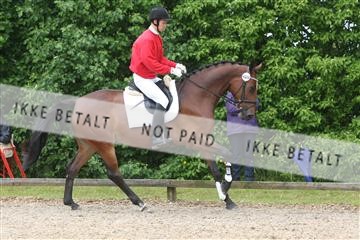 135518_ms_01_IMG_1375.JPG