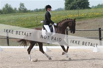 135086_sg_01_IMG_0245.JPG