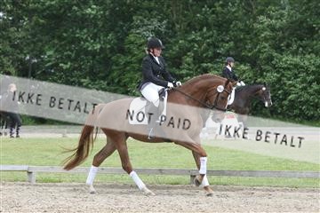 135518_ms_01_IMG_1769.JPG
