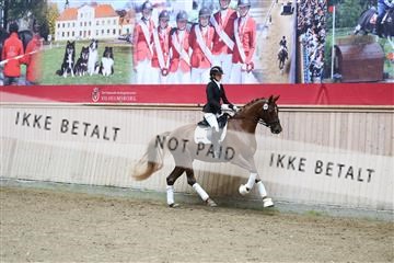 181887_mtp_04_R62_8659.JPG