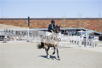 181332_kbb_01_6II4517.JPG