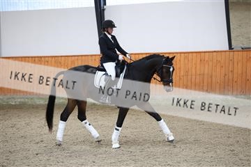 175681_avh_01_R62_0807.JPG