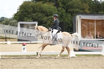 181894_mtp_03_R62_2730.JPG