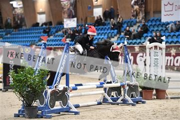 170268_abo_01_D05_7417.JPG