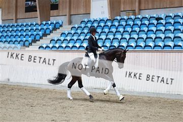 181887_mtp_04_R62_8961.JPG