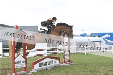 5925_ma_05_IMG_0562.JPG