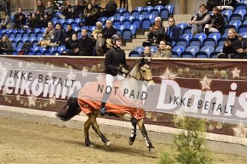 161006_abo_01__D052030.JPG