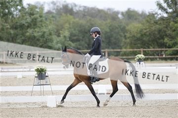 166629_rhj_01_J7R4926.JPG