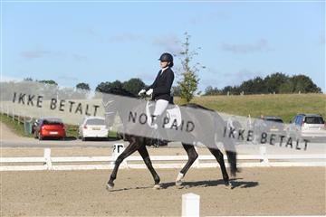 148862_sg_01_IMG_2793.JPG