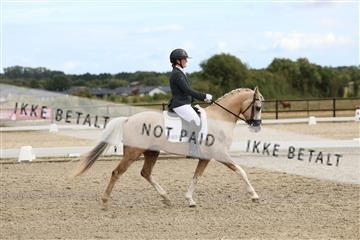 181894_mtp_03_R62_2741.JPG