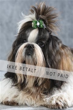 129608_le_ 01_0095.JPG