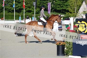181436_avh_01_2930.JPG