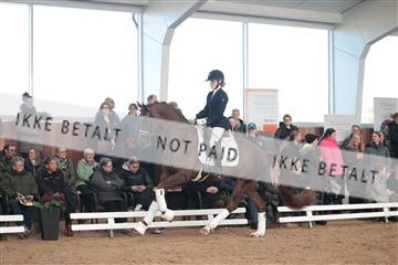 179022_kbb_01_R6II2556.JPG