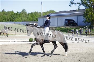 181449_kbb_01_6II8781.JPG