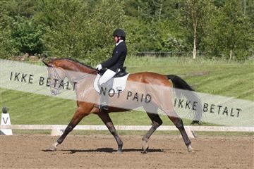 147698_nn_01_IMG_0102.JPG