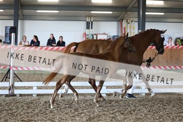 181756_mtp_03_R62_2622.JPG