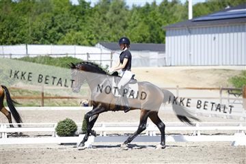 181449_kbb_01_6II9217.JPG