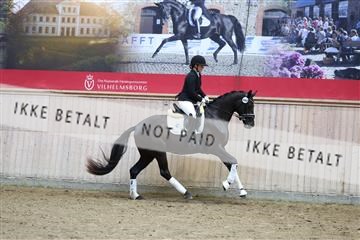 181887_mtp_04_R62_9300.JPG
