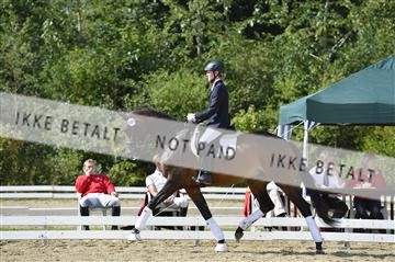 136195_abo_01__AB16047.JPG
