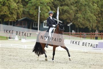 181923_mtp_03_R62_7796.JPG