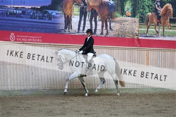 181887_mtp_02_R62_7418.JPG