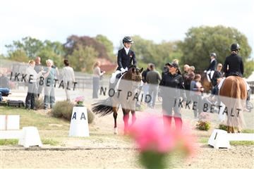 181894_mtp_02_R62_1256.JPG