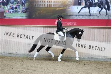 181887_mtp_04_R62_9278.JPG