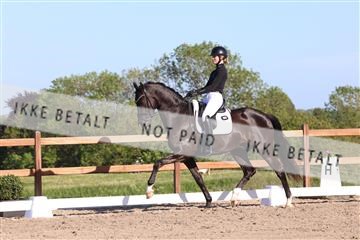 181449_bc_01R62_6338.JPG
