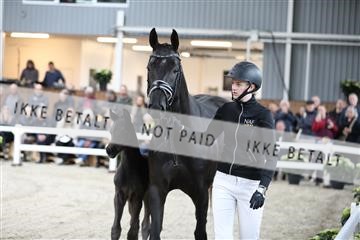 179088_mtp_01_3M5A3389.JPG