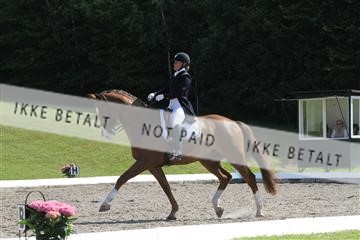 135676_sg_01_IMG_7745.JPG