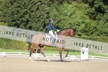 181957_mtp_01_3M5A7982.JPG
