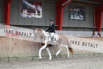 181867_mtp_01_R62_3947.JPG