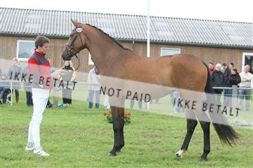 135518_ms_02_IMG_2944.JPG