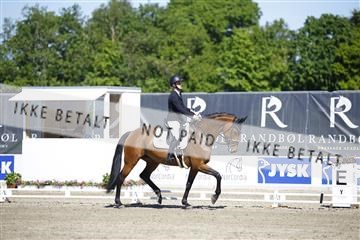 181449_kbb_01_6II9541.JPG