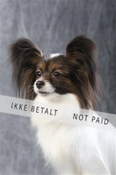 129608_le_ 01_0451.JPG