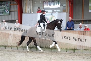181867_mtp_01_R62_3973.JPG