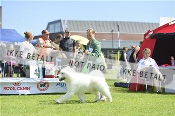 172109_bkn_01__D046123.JPG