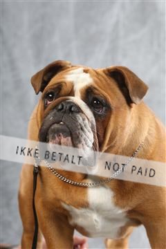 129608_le_ 02_0354.JPG