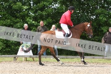 135518_ms_01_IMG_1521.JPG
