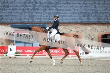 181957_mtp_06_3M5A0540.JPG