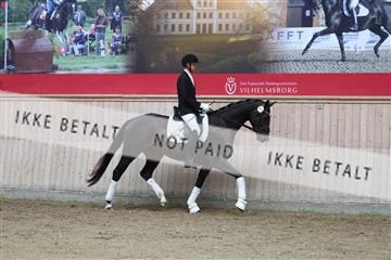 181887_mtp_01_R62_7152.JPG