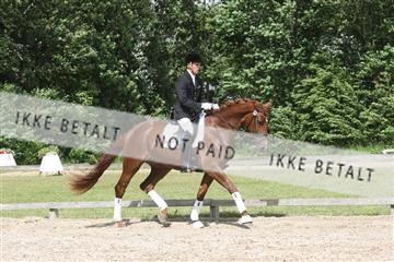 135518_ms_02_IMG_2743.JPG