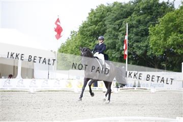 181449_jss_01__6II2086.JPG