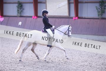 173883_mtp_01_3M5A0395.JPG