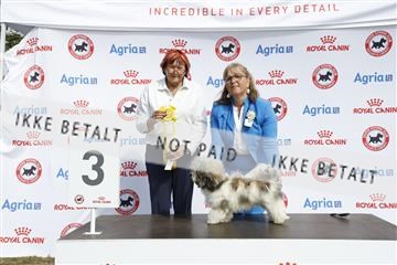 181848_kar_01__62_3836.JPG