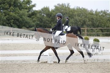 166629_rhj_01_J7R4947.JPG