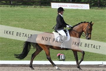 135676_sg_03_IMG_9908.JPG