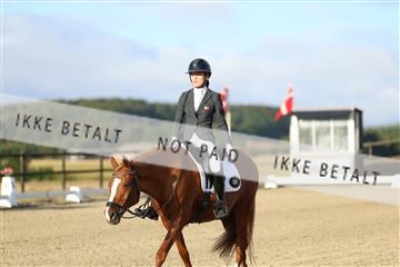 181894_mtp_04_R62_3045.JPG